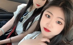 番茄视频在线直播观看免费